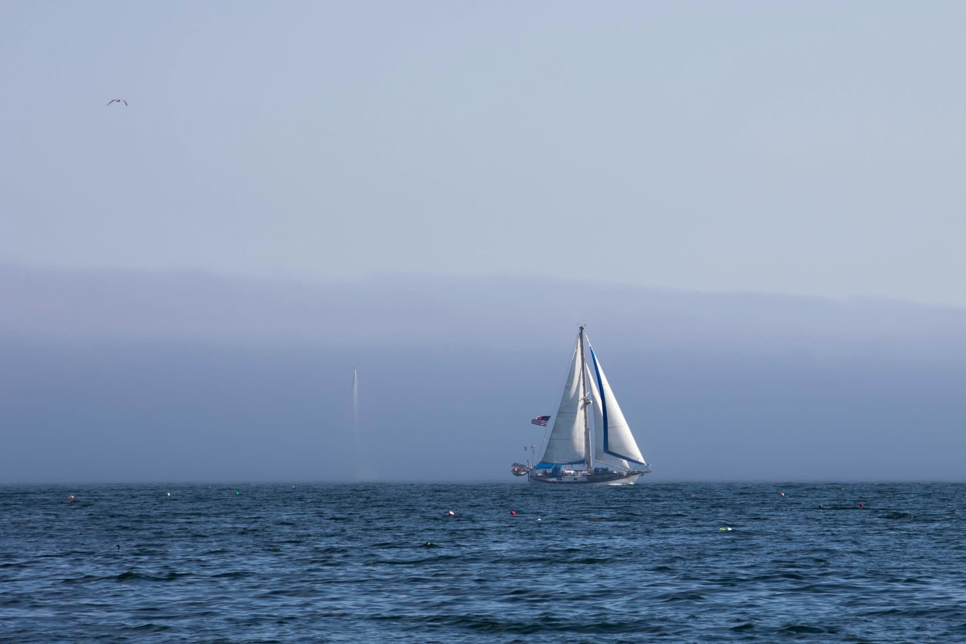 A sailboat under sail flying a US flag, with a bank of fog behind it and a second sail faint in the fog.